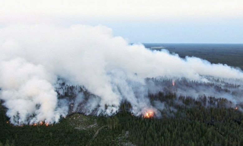 فنلندا تكافح أسوأ حريق غابات منذ 50 عامًا